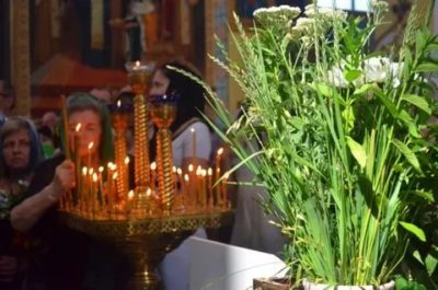 Какие цветы освящают на Троицу
